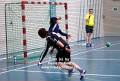 22289 handball_silja